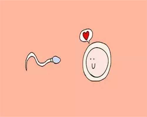 广州代孕自愿者：O型血女性备孕二胎要警惕溶血