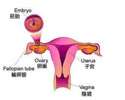 广州代孕公司：怀孕期间真的不能装空调吗孕妇