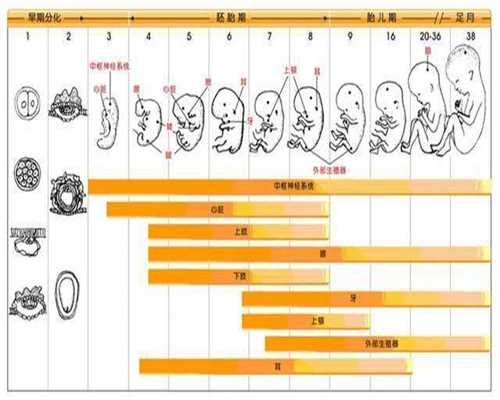 广州世纪试管代妈,孕期有这些症状生女孩的几率