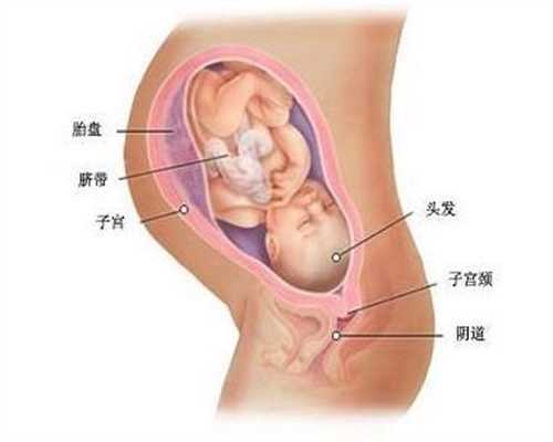 广州代怀孕怎么样,在怀孕期间吃这10种健康的食