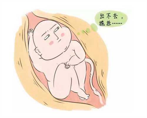 <b>广州代怀孕怎么样,在怀孕期间吃这10种健康的食</b>