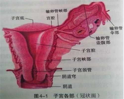 广州哪家助孕中心好,孕期连打喷嚏都漏尿，尤其