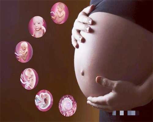 广州代孕医院,怀孕几个月胎动最频繁胎动次数多