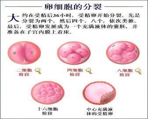 <b>广州正规代妈,怀孕初期有7大特征 准妈妈多吃天</b>