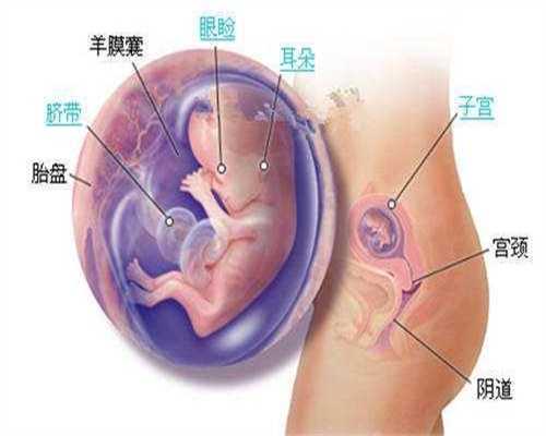 广州代孕广州代孕网,怀孕后孕吐几周减退产科医