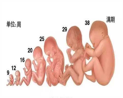 <b>广州代妈招聘价格表,怀孕后，孕妈尽量别做4件事</b>