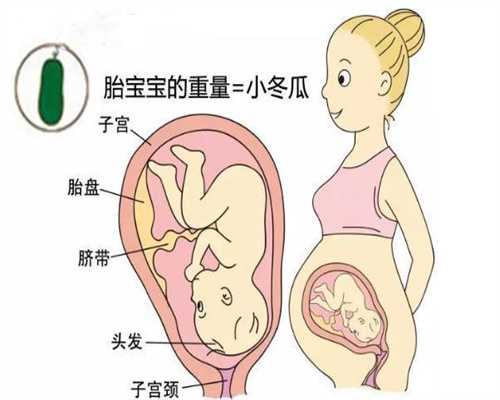 怀孕期，这几周是胎儿脐带绕颈的高发期，孕妈