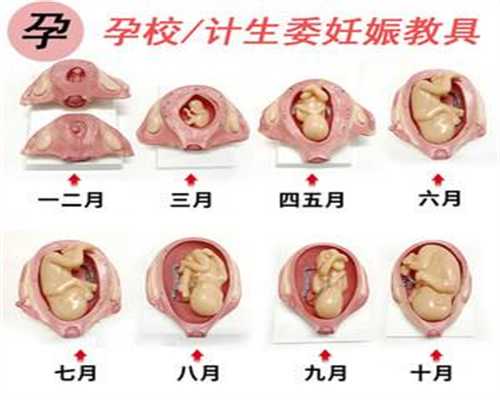 广州代孕八胞胎,怀孕期间，孕妈最好要少做这