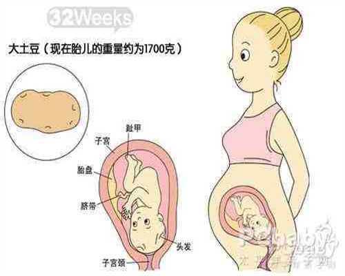 怀孕第几周胎儿最易发生畸形产科医生过了这个