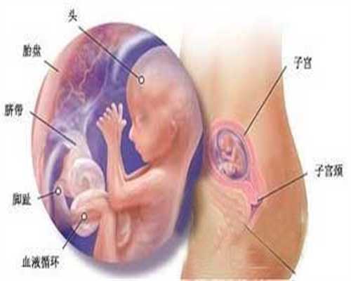 广州代怀孕价格表,腹中宝宝害怕妈妈做什么怀孕