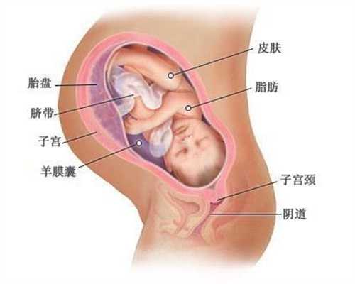 湖南妹子赴广州代孕,解读宝宝营养补充剂钙铁锌