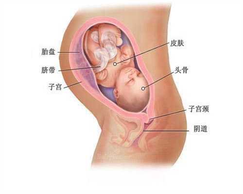 广州代怀产子包性别,结婚三年没怀孕，她被婆婆