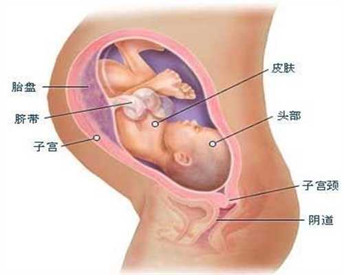 广州圆梦助孕,试管婴儿移植后真的需要卧床14天