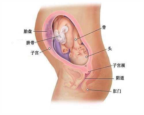 广州代孕医院,新晋升准爸爸照顾孕妈，怀孕三个