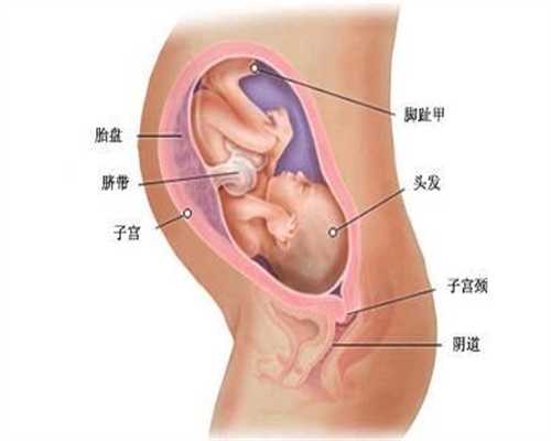 广州代妈看坤和助孕,着床成败要看子宫内膜厚度