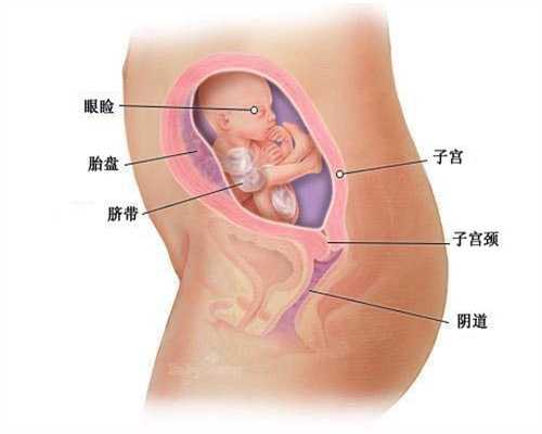广州代妈招聘条件,早孕反应导致的营养不良怎么