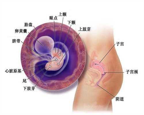 广州代生孩子多少钱,怀孕建档之北京大学第三医