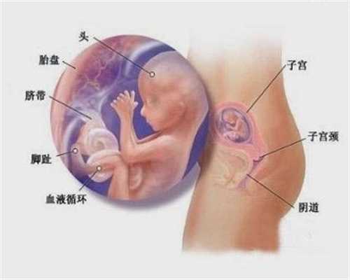 广州正规代妈机构,引起孩子营养不良的4个原因，