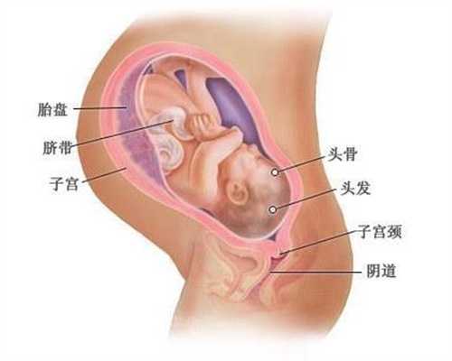 广州代孕广州代孕妇,怀孕了，可以喝蜂蜜水吗可