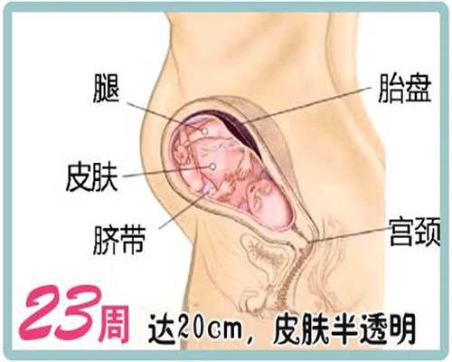 广州替人生孩子,孕妇需要慎吃的食物