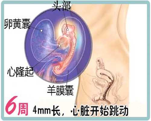 <b>广州代孕代孕价格,孕期吃药对胎心监护有影响吗</b>