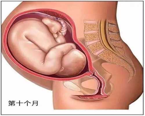 <b>广州代孕广东代孕,孕期保胎这几点误区孕妈一定</b>