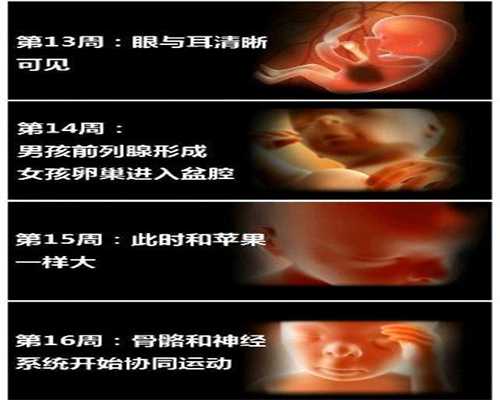 广州供卵生子,做好孕期功课，你必须要明白这三