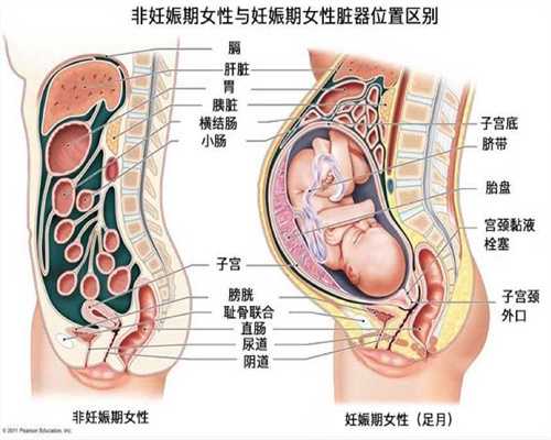 广州世纪助孕官网,备孕合理调理是重点，保证怀