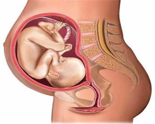 备孕几个月怀孕属于正常通过3个标准，评估你的