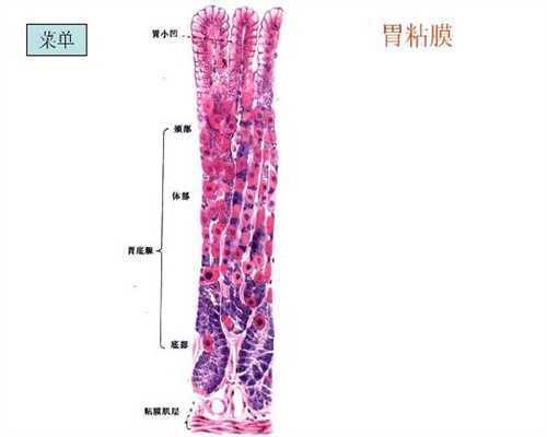 广州最好的代孕机构排名_广州专业供卵机构靠谱