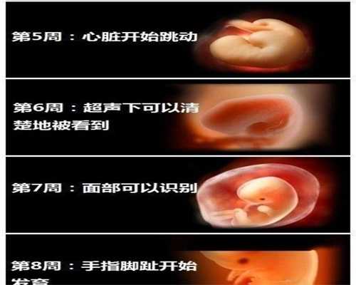 广州代孕医院要花多少钱_孕妇喜欢右侧睡好不好