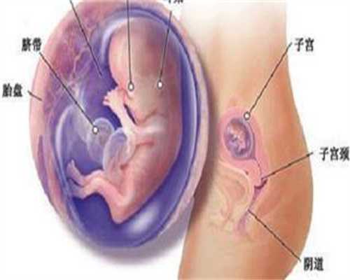<b>广州代孕产子费用_婴儿吹空调危害性大吗</b>