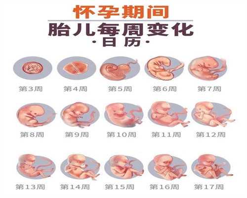 广州代孕医院有哪些_宝宝吃牛油果的好处