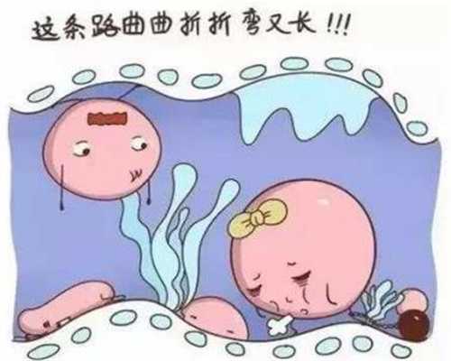 广州代孕生子多少钱_孕妇可以吃人参果吗