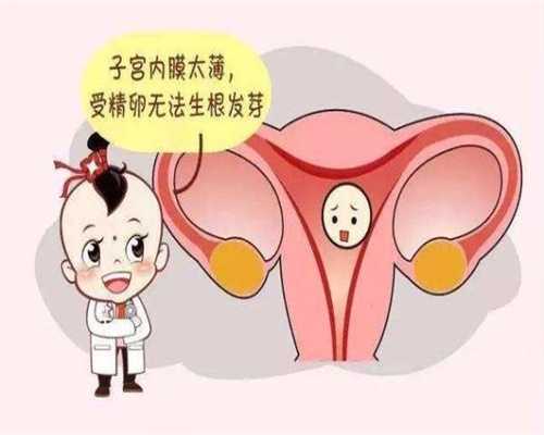 广州代生儿子多少钱_孕中期能不能吃红汉菜