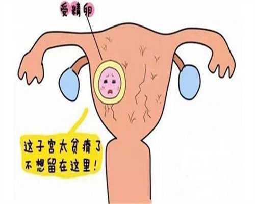 广州代生男孩网_47岁的女人还会受孕吗