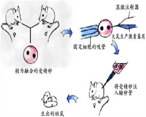 广州合法代孕机构_广州代孕孩子包性别