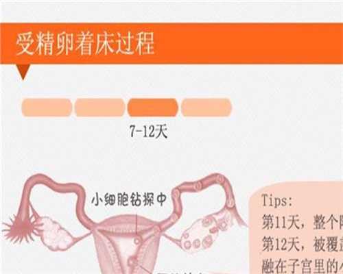 广州代孕孩子费用多少_广州代孕双胞胎价格是多少