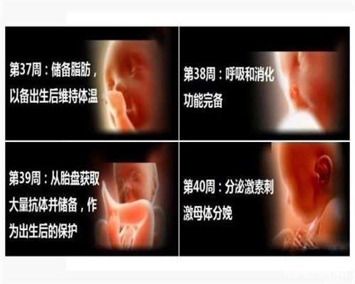 广州好的代孕公司_广州专业代孕包成功