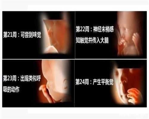 广州代孕总部在哪_广州代孕群