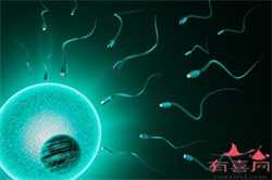 代孕网-代孕网哪家靠谱-同房几天有代孕的反应