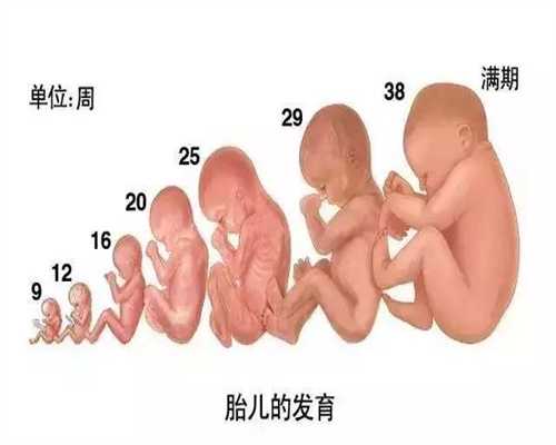 <b>广州代孕代怀孕中介_广州代孕中心生子</b>