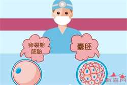 广州生孩子能代孕吗-找代孕机构电话_为什么三代试管的成功率会低于二代试管