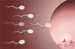 广州中国哪里有代孕公司-供卵试管婴儿大概多少费用_泰国试管婴儿VS国内试管