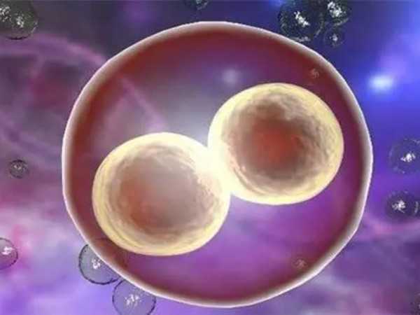 都说4BA和4AB级别的囊胚在质量上有区别，哪个比较好？